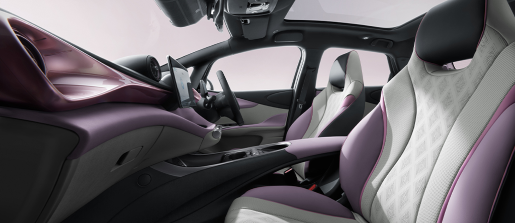 INTERIOR BYD DOLPHIN