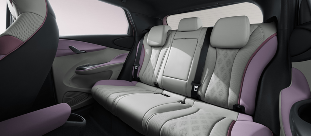 INTERIOR BYD DOLPHIN