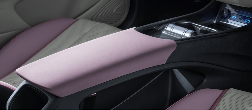 INTERIOR BYD DOLPHIN